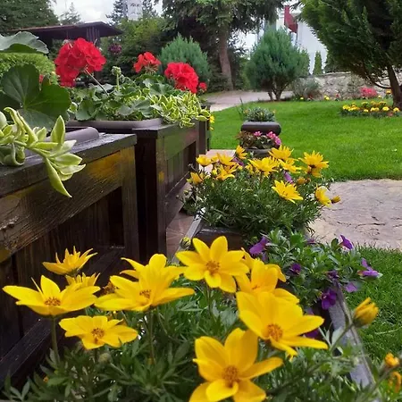 Jokic Ubytování v soukromí Zlatibor