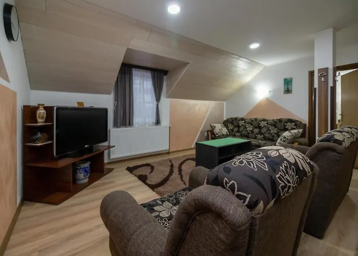 Jokic زلاتيبور